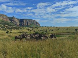 Mount Everest Guest Farm, hotel a Harrismith