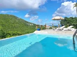 Villa with Private Pool in Upper Prince's Quarter