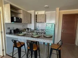 Dpto por dia Chillán 909