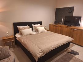 Luxhousing city hostel, Hotel in Helsinki