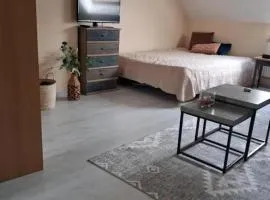 Appartement lumineux avec jardin à Le Mans, 35 m², 2 pers.