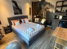 Luxury Studio2 in Hotel Friends Spa