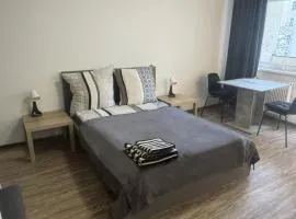 Renovated Wonderflat for wonderful people