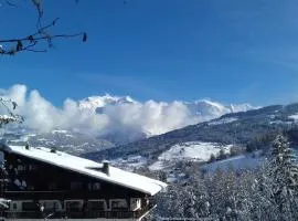 AP-37 La Grande Cordée Combloux