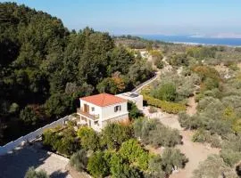 Chaihoutes stone House and Villa into Olive farm in Zia