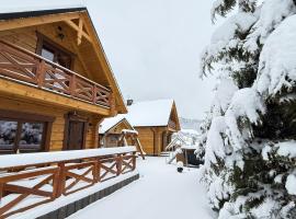 Domki z bali na miedzy，位于皮夫尼奇纳的酒店