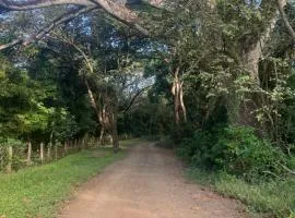 Centro Holistico Casa Orion