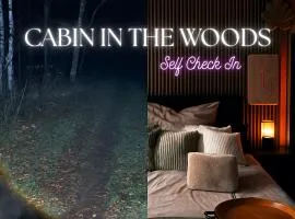 Apartment mitten im Wald