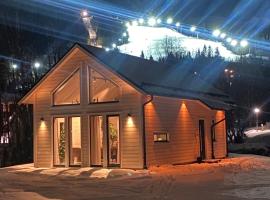 The New Lodge Ski In Ski Out, vila u gradu Duved
