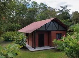 Cozy Studio with private tropical forest