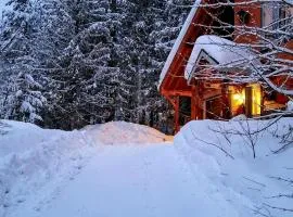Secluded Mtn Retreat with Resort Perks in Whitefish!