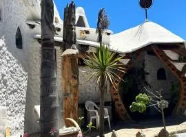 Floresta Concón Mantagua