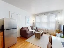 Cozy 1B, Green Line, Boston Coll, Elev, Roof Deck