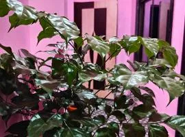 AWADH GUEST HOUSE ram mandir 700 metre