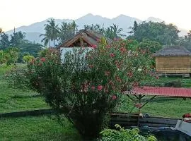 Volcano View Villa sleeps x 4