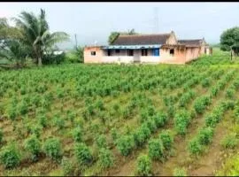 Agro Tourism Malshej Junnar Farmhouse & Tent City Camping