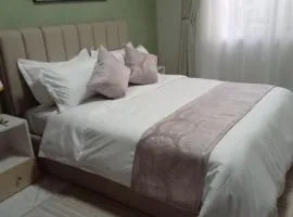 Pitta Opulent Apartments