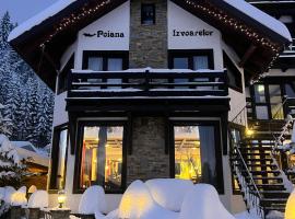 Pensiunea Poiana Izvoarelor, ξενοδοχείο σε Vatra Dornei