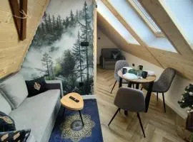 Studio Góralskie Klimaty z widokiem na Góry, Kominek, Parking, Jacuzzi, Sauna