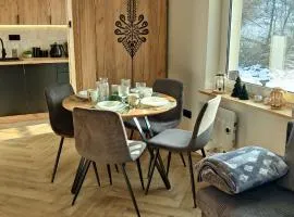 Studio Góralskie Klimaty z widokiem na Góry, Kominek, Parking, Jacuzzi, Sauna