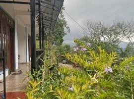 Comfort Castle Inn