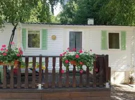 Camping 3 étoiles - ccbeebh