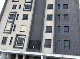 استوديو النخيل الكلاسيكي