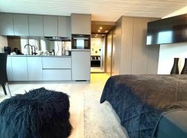 Luxus Studio Apartment am Bodensee, cazare &icirc;n regim self catering din G&uuml;ttingen