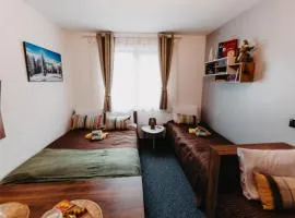 Sonja apartman Vila Bela reka Brzeće Kopaonik