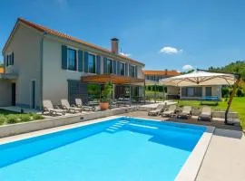 Modern villa Fritula with pool in Vizinada