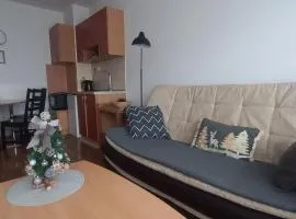 Divčibare Snežna Kraljica ap 13