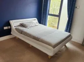 2 Bedroom Modern House