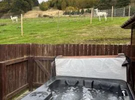 Woodpecker Lodge with Hot Tub