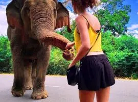 Elephant Orphanage Edge Hotel