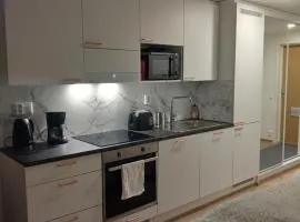 Jaakonkatu City Center home