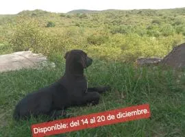 Tinkunaco Alta Gracia