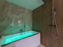 Spa & Relaxation 15 min from Lyon - Noomi Suite
