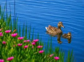 Downtown A2 Gem - Next to Hospitals, Stadium & Restaurants