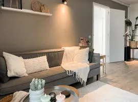 Lovely apartment in Oud Beijerland
