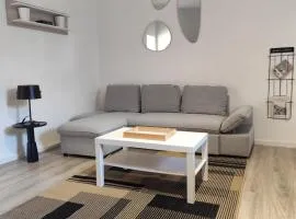 Duplex spacieux et lumineux en centre-ville