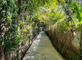 Sukha's Sepna Village