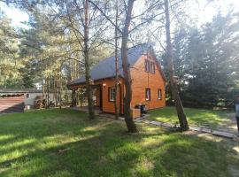 Domek nad jeziorem Wilczyńskim, Hotel in Świętne