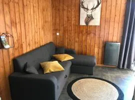 Chalet Duplex 3 Pièces, 7 Pers, Animaux, Parking, Vue Montagne - FR-1-863-2