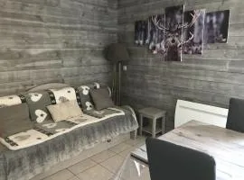 Chalet rénové 7 pers, 2 chambres, parking, animaux admis - FR-1-863-9