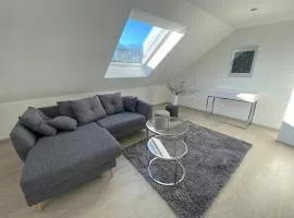 2 Zimmer-Wohnung ruhig modern zentrumsnah