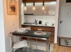 Vrdnik Residence - Apartmani Anonim