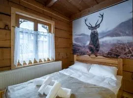 Domek u Świerków 2 - Zabytkowe domki 4 i 8 osobowe, w każdym 2 sypialnie, 2 łazienki, aneks kuchenny, balkon, 1,5km Termy Chochołowskie