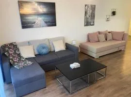 Apartment MIKO, FREE GARAGE PARKING