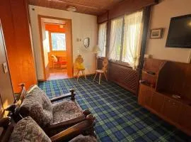 Apartment in the center of Cortina with private garage