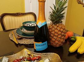 Budapest Central Vintage Apartment